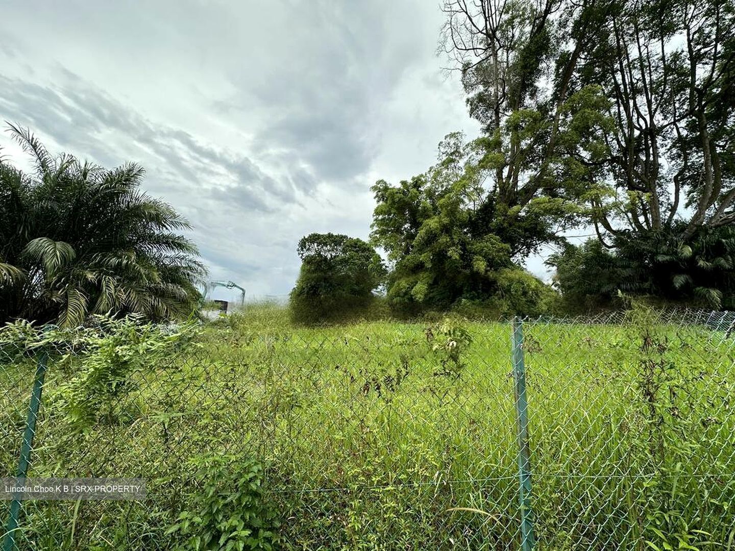 Jalan Kampong Chantek (D21), Detached #460448671